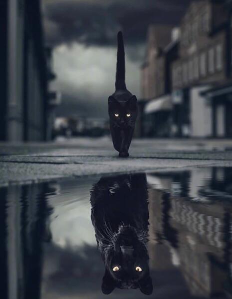 Affiche de peinture sur toile sans cadre décoration murale pour la maison dans le grenier