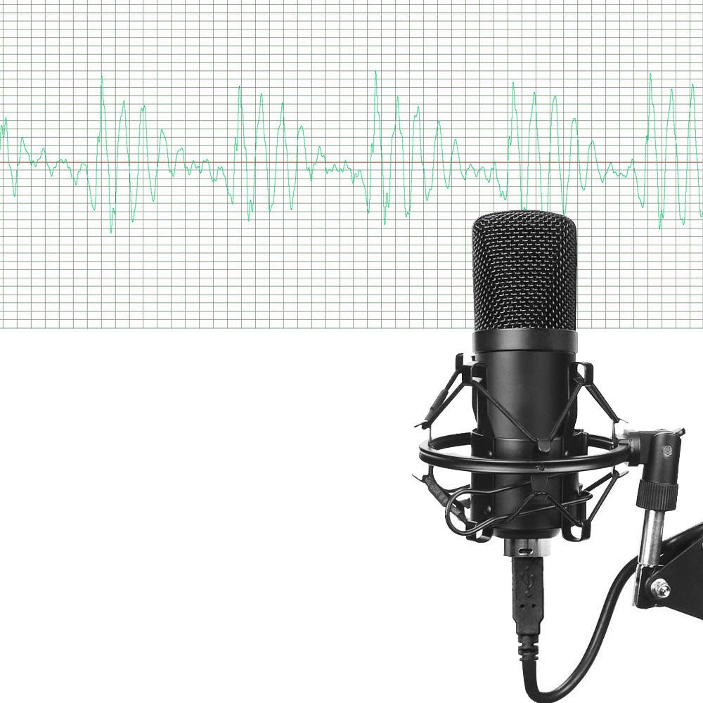 Ensemble microphone BM-700 condensateur noir avec support métal et haute fidélité - IVOIRART.COM