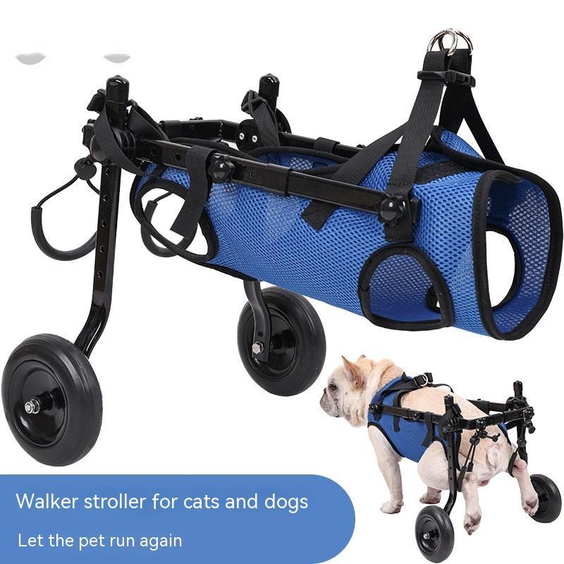 Fauteuil roulant pour chien handicapé, scooter de mobilité pour animal bleu - IVOIRART.COM
