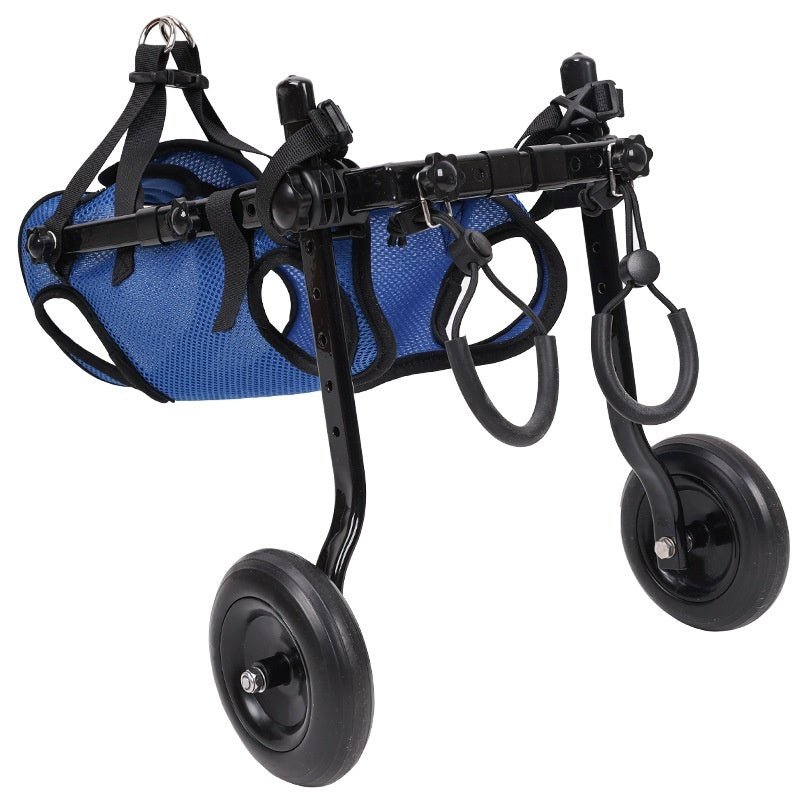 Fauteuil roulant pour chien handicapé, scooter de mobilité pour animal bleu - IVOIRART.COM