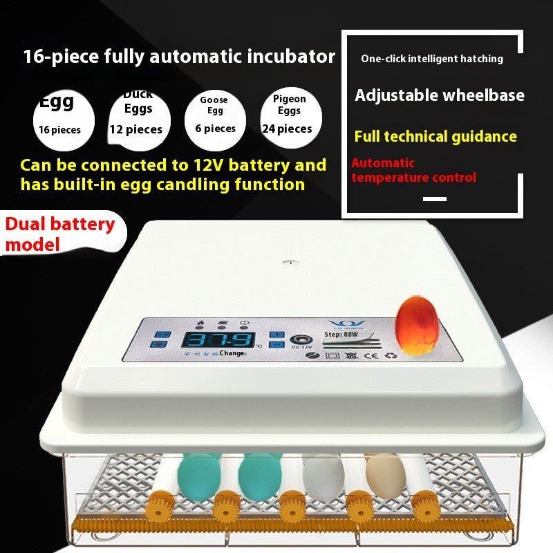 Fully Automatic Home Intelligent Incubator - IVOIRART.COM