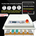 Fully Automatic Home Intelligent Incubator - IVOIRART.COM