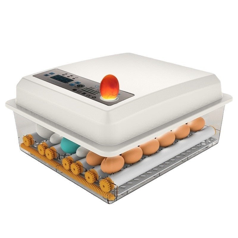 Fully Automatic Home Intelligent Incubator - IVOIRART.COM