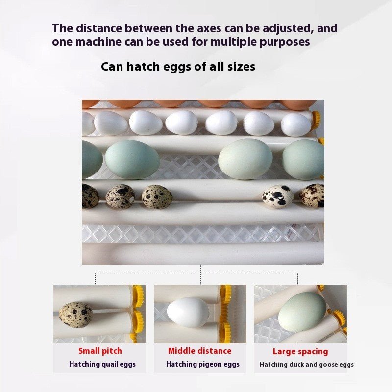 Fully Automatic Home Intelligent Incubator - IVOIRART.COM