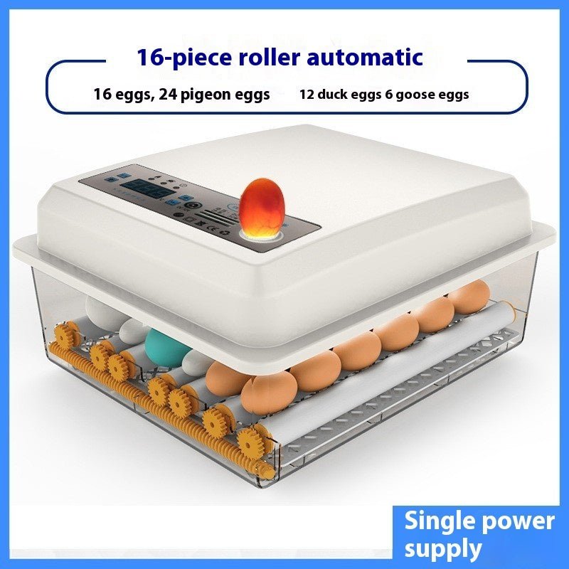 Fully Automatic Home Intelligent Incubator - IVOIRART.COM