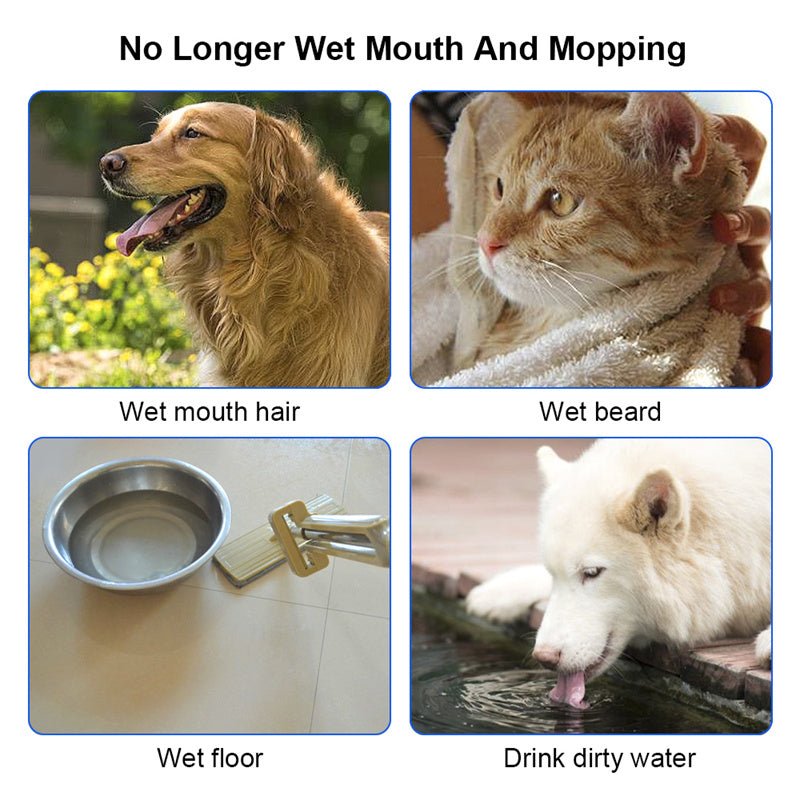 Gamelle flottante anti - débordement 1,5L pour chat et chien, distributeur d'eau lent en ABS & PP - IVOIRART.COM