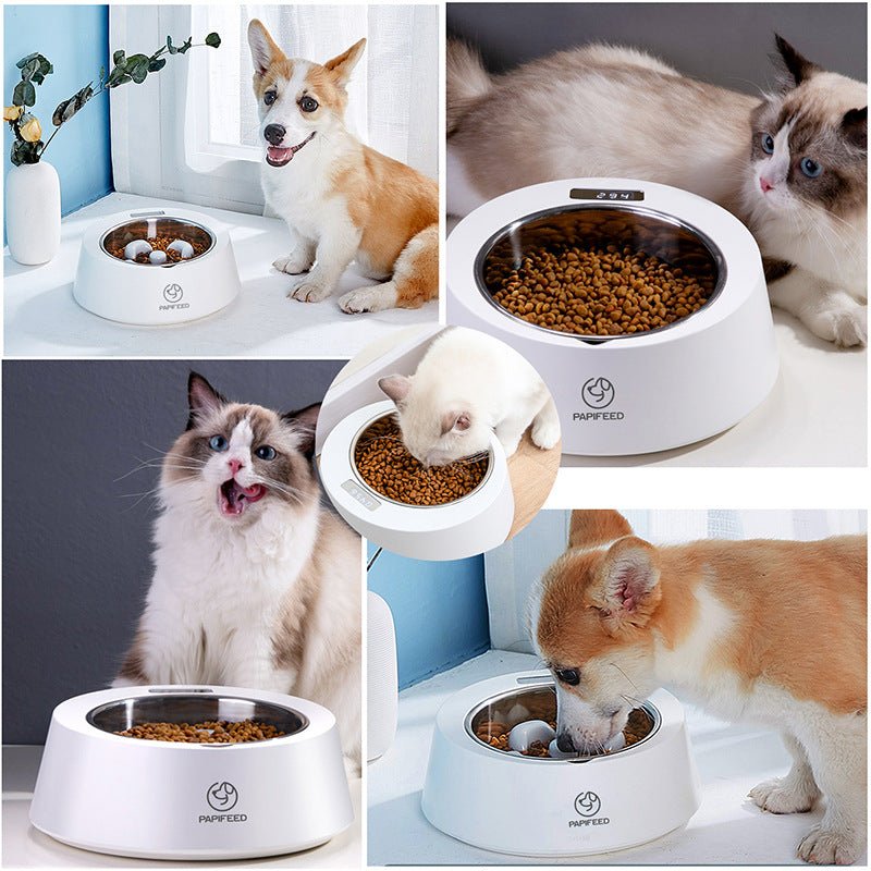 Gamelle intelligente pour chien avec pesée intégrée - Bol à nourriture lente pour chien et chat, nourrisseur contrôlé - IVOIRART.COM