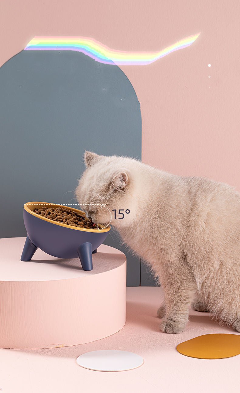 Gamelle sur Pied pour Chats et Chiens, Coloris Nordique, Accessoire pour Animaux - IVOIRART.COM