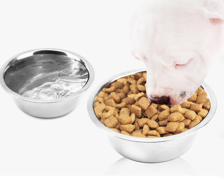 Gamelles pour animaux personnalisées en acier inoxydable, réservoirs, bols - IVOIRART.COM