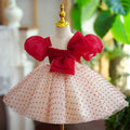 Girls One Year Old Celebration Dress Grab Pettiskirt - IVOIRART.COM
