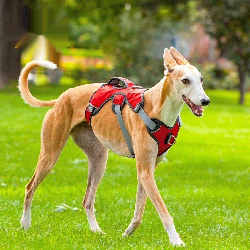 Harnais extérieur pour chiens grands et moyens en style veste, nylon coloré - IVOIRART.COM