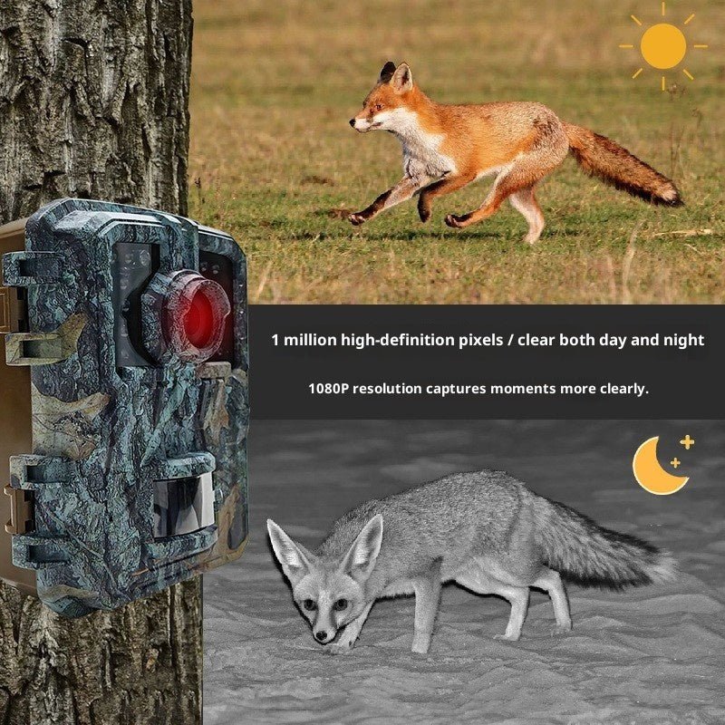 Hidden HD Animal Monitoring Camera Outdoor Waterproof Field Camera Infrared Induction Orchard Camera DL003 - IVOIRART.COM