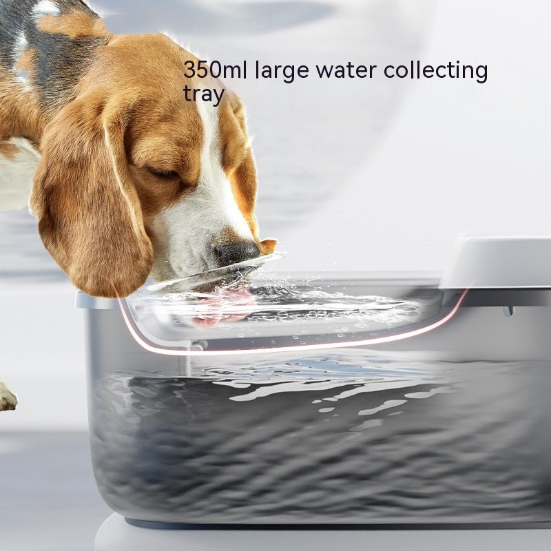 Household Pet Minimalist Circulating Water Dispenser - IVOIRART.COM