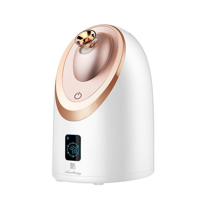 Inhalateur Facial Nano Vapeur Hydratant Instrument Pulvérisateur Chaud Foyer - IVOIRART.COM