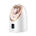 Inhalateur Facial Nano Vapeur Hydratant Instrument Pulvérisateur Chaud Foyer - IVOIRART.COM