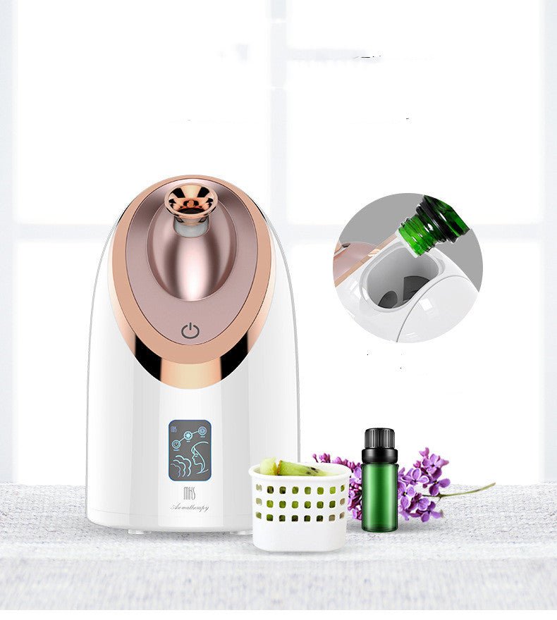 Inhalateur Facial Nano Vapeur Hydratant Instrument Pulvérisateur Chaud Foyer - IVOIRART.COM