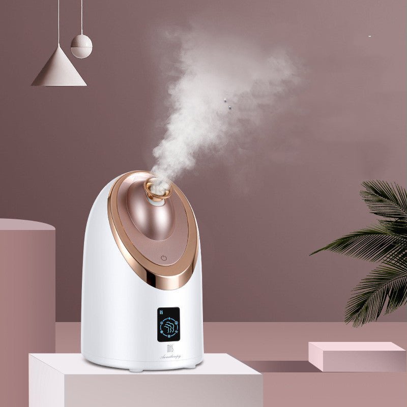 Inhalateur Facial Nano Vapeur Hydratant Instrument Pulvérisateur Chaud Foyer - IVOIRART.COM