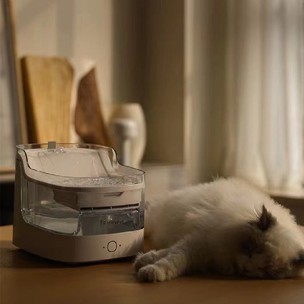 Intelligent Automatic Filtration Of Flowing Live Water Pet Water Dispenser - IVOIRART.COM
