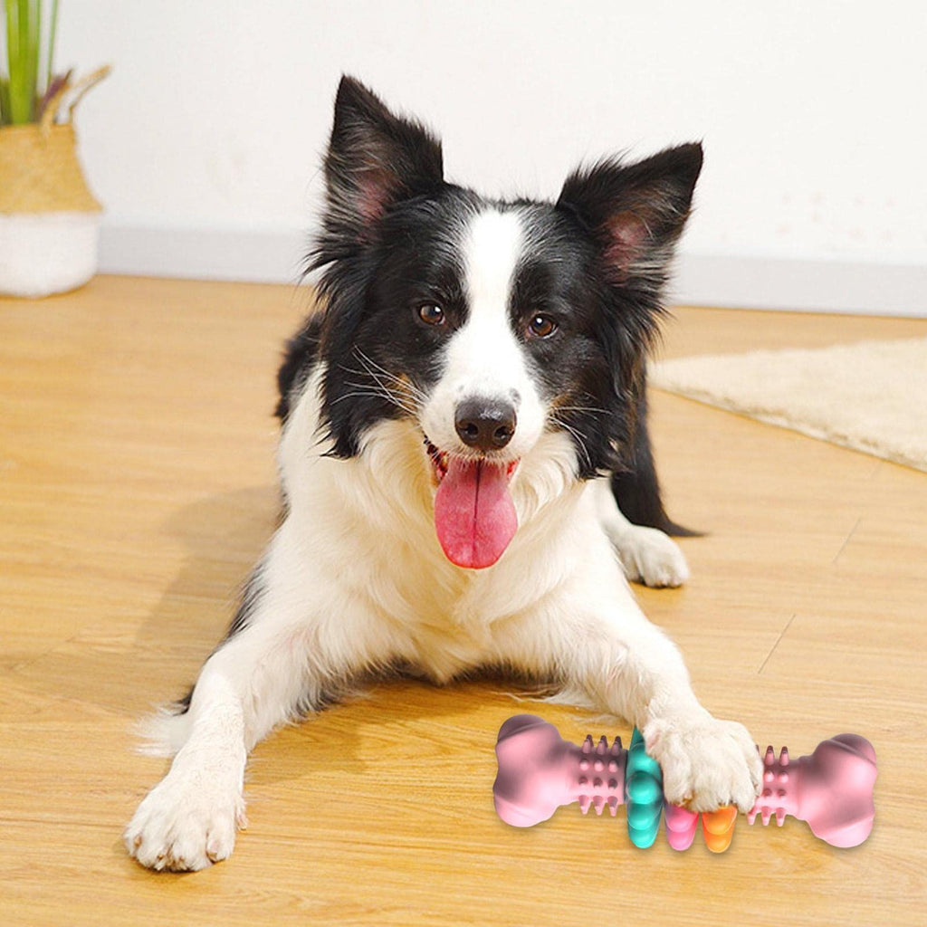Jouet à mâcher pour chien en forme d'os résistant TPR indestructible pour dents - IVOIRART.COM
