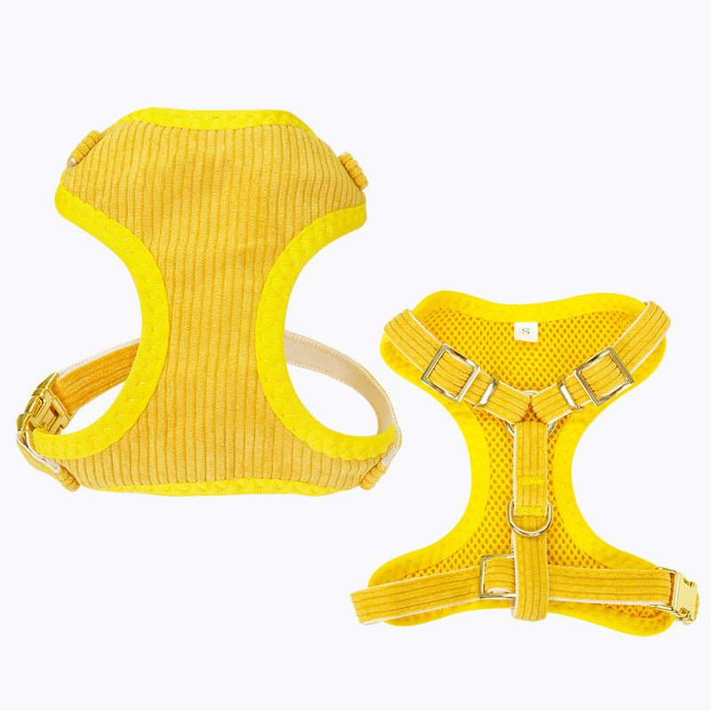 Laisse et harnais pour chien, parfaits pour les promenades en plein air et activités - IVOIRART.COM