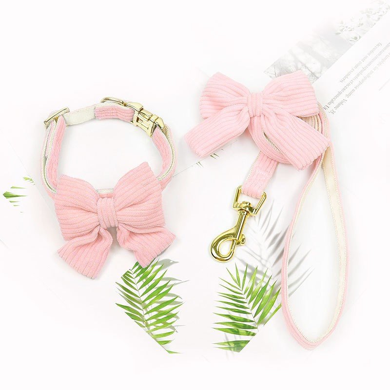 Laisse et harnais pour chien, parfaits pour les promenades en plein air et activités - IVOIRART.COM