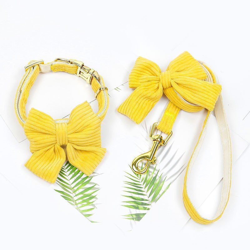 Laisse et harnais pour chien, parfaits pour les promenades en plein air et activités - IVOIRART.COM