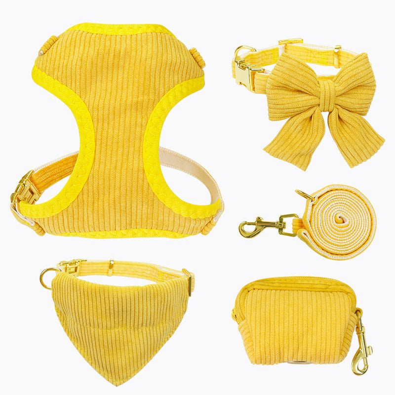 Laisse et harnais pour chien, parfaits pour les promenades en plein air et activités - IVOIRART.COM