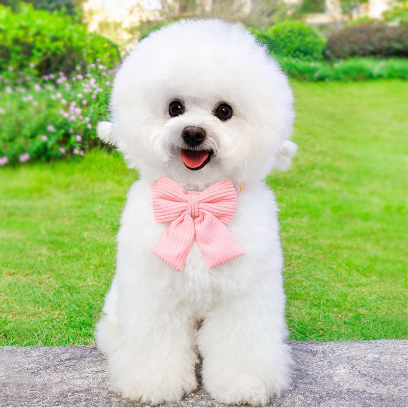 Laisse et harnais pour chien, parfaits pour les promenades en plein air et activités - IVOIRART.COM