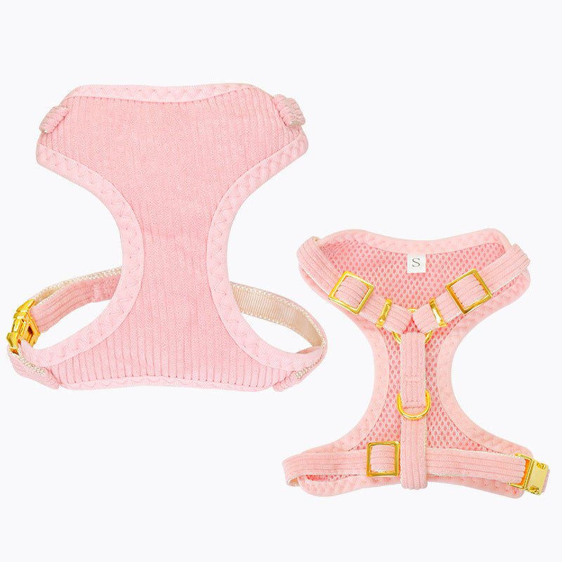 Laisse et harnais pour chien, parfaits pour les promenades en plein air et activités - IVOIRART.COM