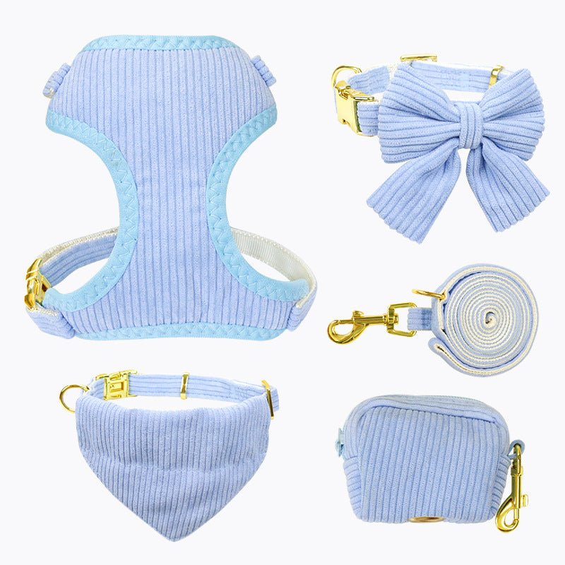 Laisse et harnais pour chien, parfaits pour les promenades en plein air et activités - IVOIRART.COM