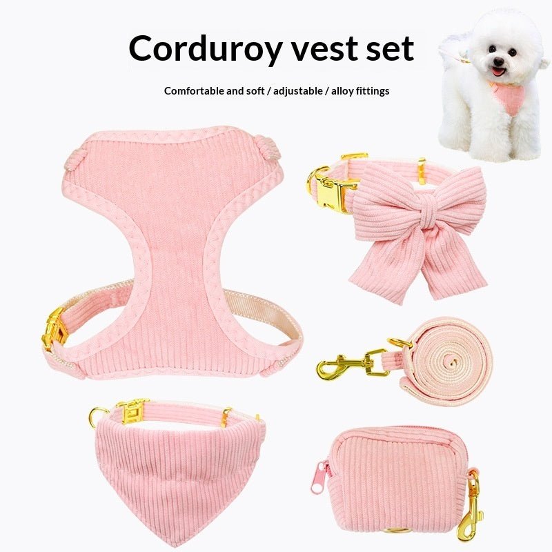 Laisse et harnais pour chien, parfaits pour les promenades en plein air et activités - IVOIRART.COM
