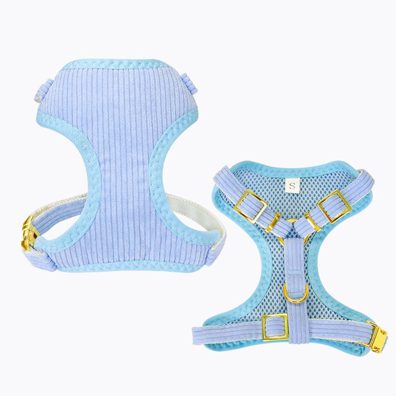 Laisse et harnais pour chien, parfaits pour les promenades en plein air et activités - IVOIRART.COM