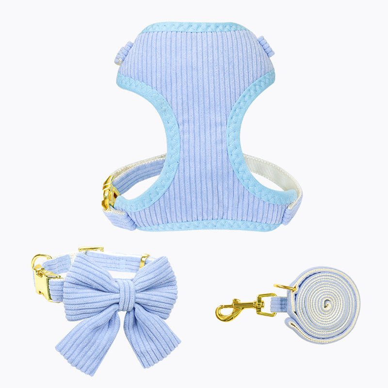 Laisse et harnais pour chien, parfaits pour les promenades en plein air et activités - IVOIRART.COM