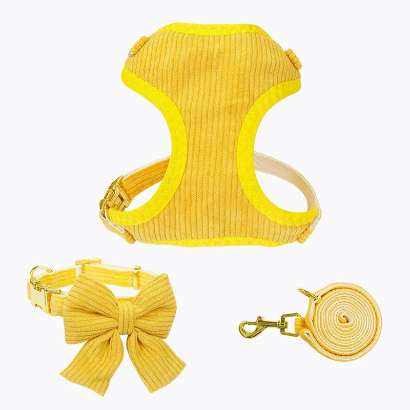 Laisse et harnais pour chien, parfaits pour les promenades en plein air et activités - IVOIRART.COM