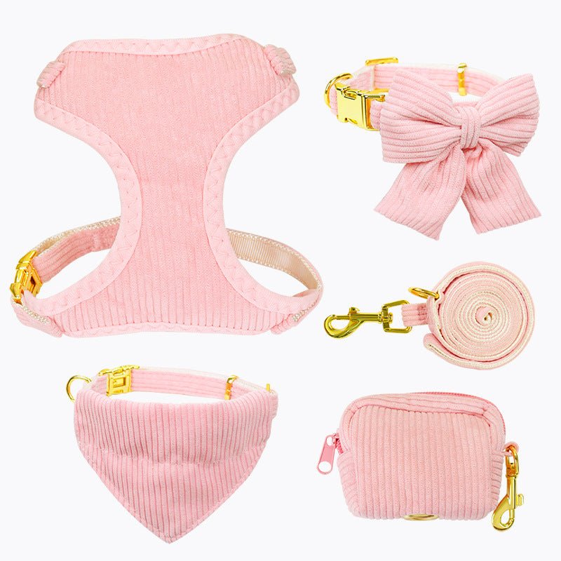 Laisse et harnais pour chien, parfaits pour les promenades en plein air et activités - IVOIRART.COM