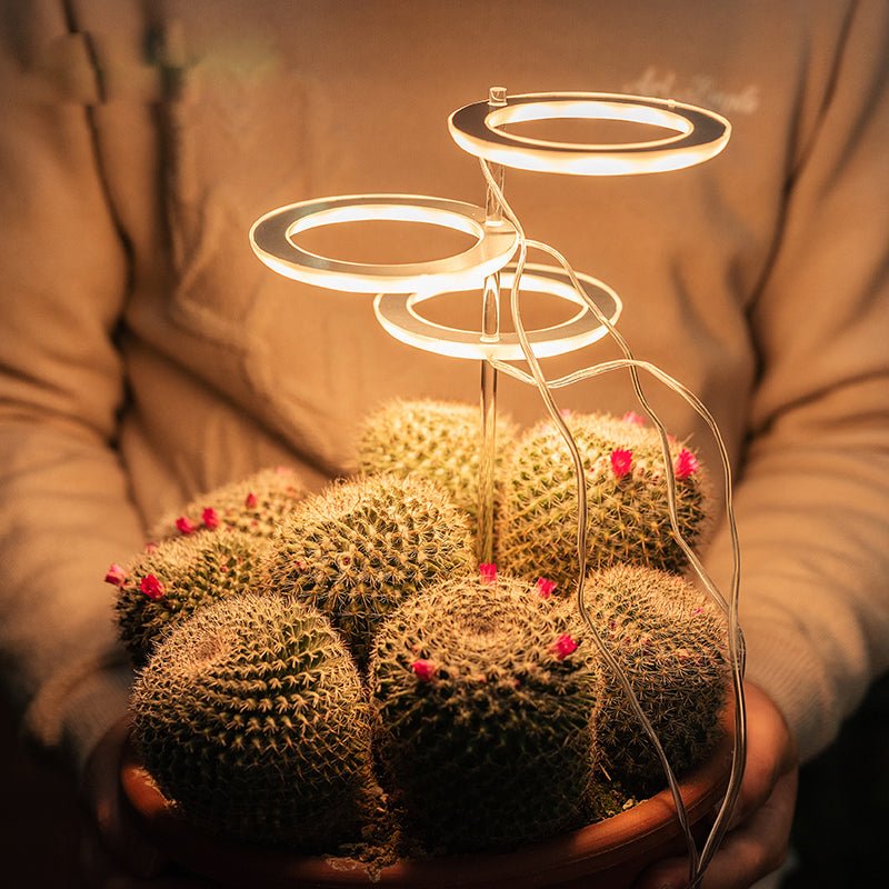 Lampe de Croissance LED Spectre Complet USB Phyto pour Éclairage Intérieur - IVOIRART.COM