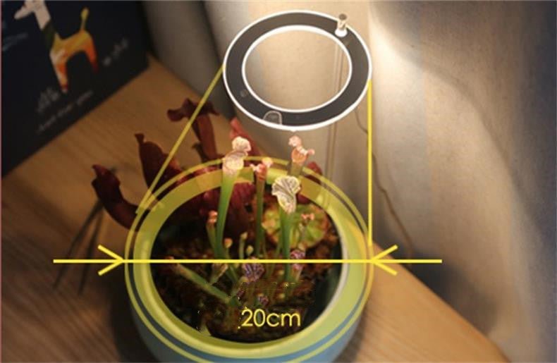 Lampe de Croissance LED Spectre Complet USB Phyto pour Éclairage Intérieur - IVOIRART.COM