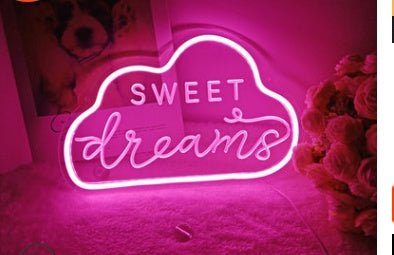 Lampe Néon LED avec Panneau Arrière en Acrylique, Lumière de Nuit Décorative - IVOIRART.COM