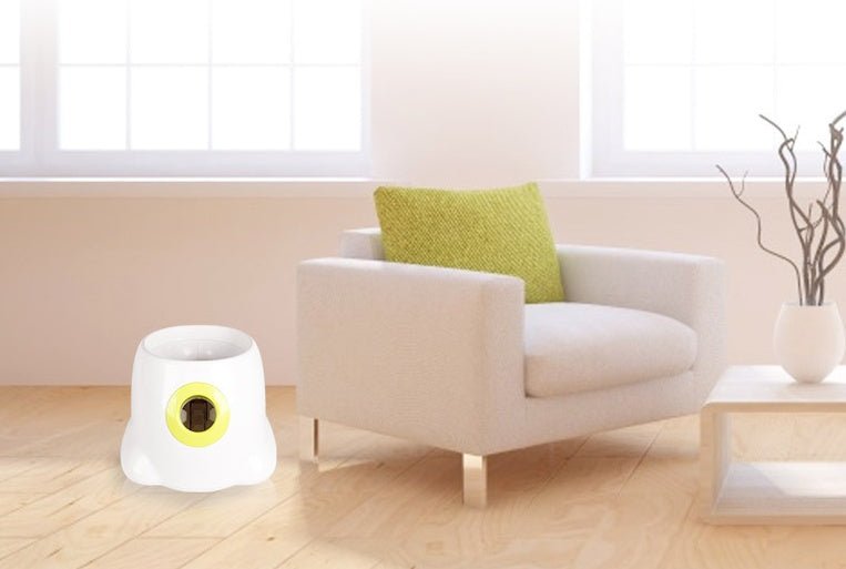 Lanceur Automatique de Balle Interactif pour Chien - Jouet Innovant et Pratique - IVOIRART.COM