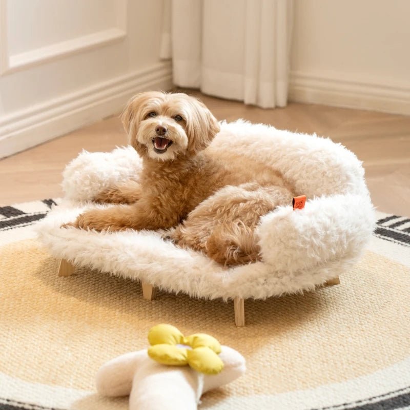 Lit en Bois Luxueux pour Chiens et Chats, Panier Sécurisé Taille Petite à Moyenne - IVOIRART.COM