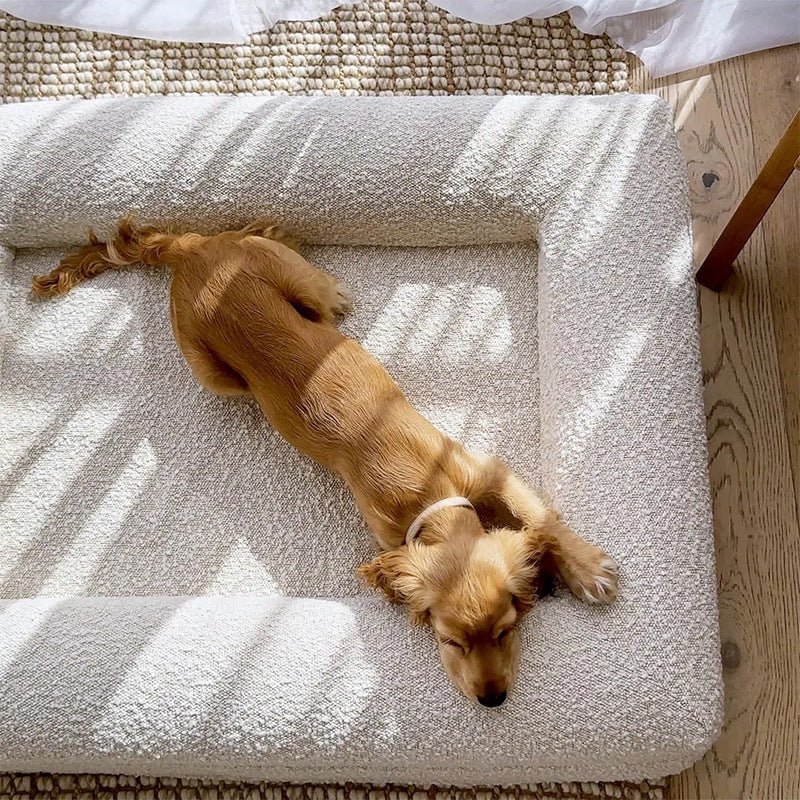Lit pour chien haut de gamme avec mousse à mémoire, étanche et lavable, confortable - IVOIRART.COM