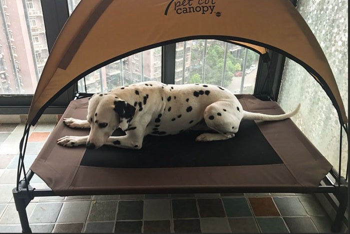 Lit pour chien imperméable, amovible et lavable en tissu Oxford, lit de camp empilable - IVOIRART.COM