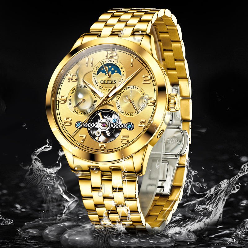 Montre Mécanique Lumineuse Étanche Automatique Homme Style Élégant - IVOIRART.COM
