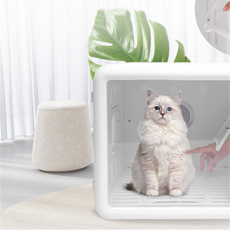 Multifunctional Pet Drying Box Large Capacity Household Intelligent Automatic - IVOIRART.COM