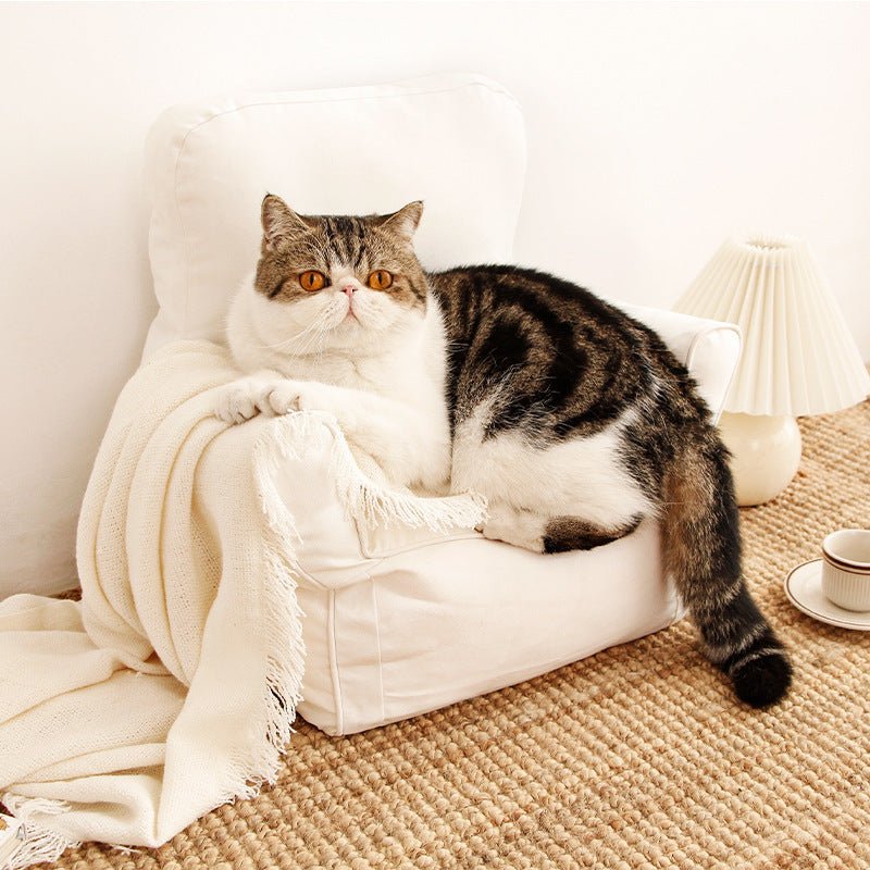 Nordic Sofa Cat Pet Bed - IVOIRART.COM