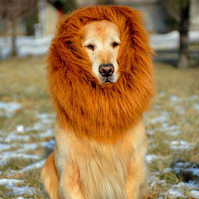 Perruque Crinière pour Grands Chiens - Taille Adaptée à un Tour de Tête < 74 cm - IVOIRART.COM