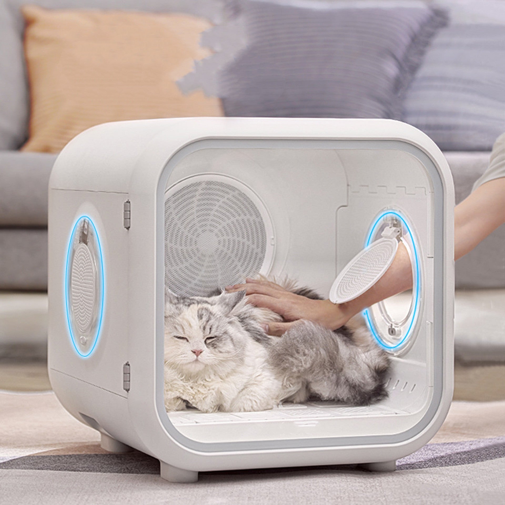 Pet Intelligent Drying Box Fully Automatic - IVOIRART.COM