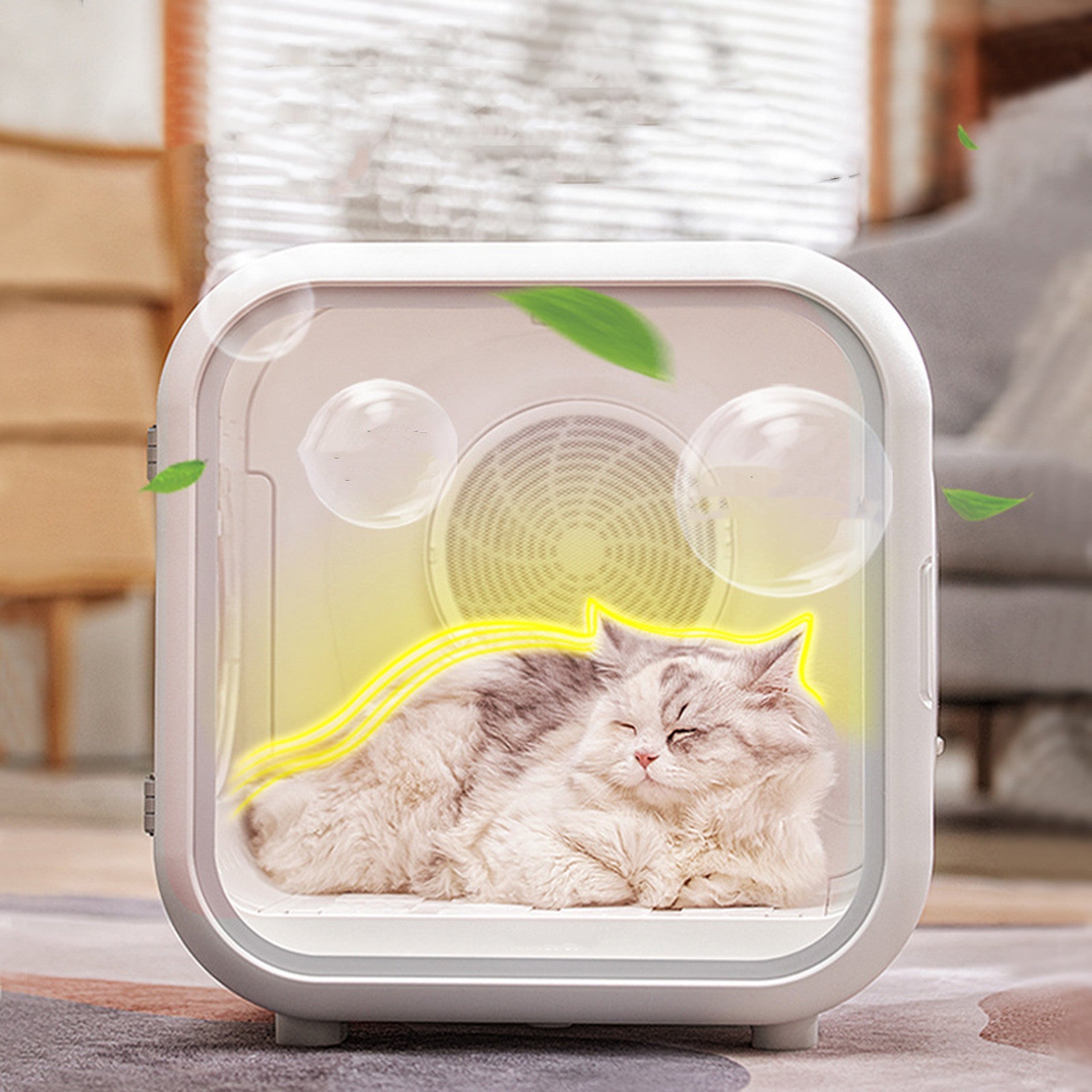 Pet Intelligent Drying Box Fully Automatic - IVOIRART.COM