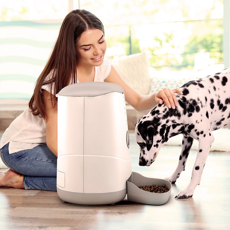 pet smart feeder - IVOIRART.COM