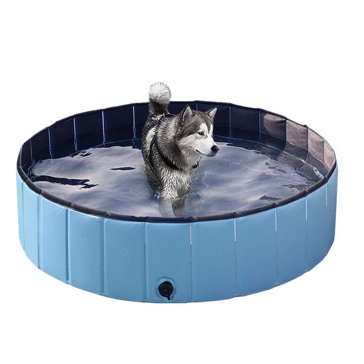 Piscine pour chien pliable grande taille pour baignade et soins canins - IVOIRART.COM